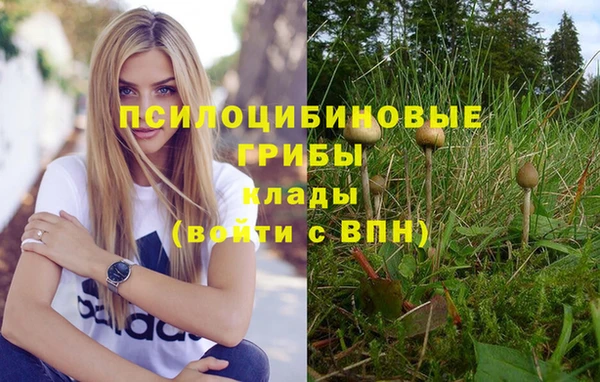 наркотики Алексин