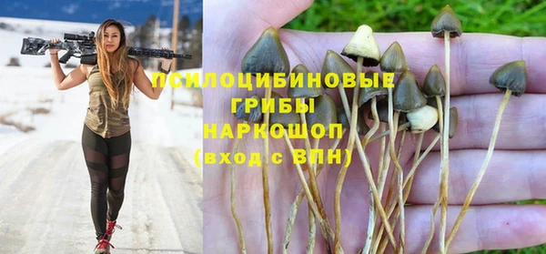 наркотики Алексин