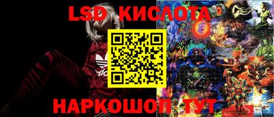 прущие крисы Аргун