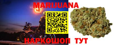 прущие крисы Аргун