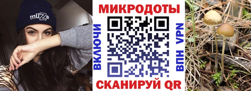 Псилоцибиновые грибы Cubensis  Волгоград 