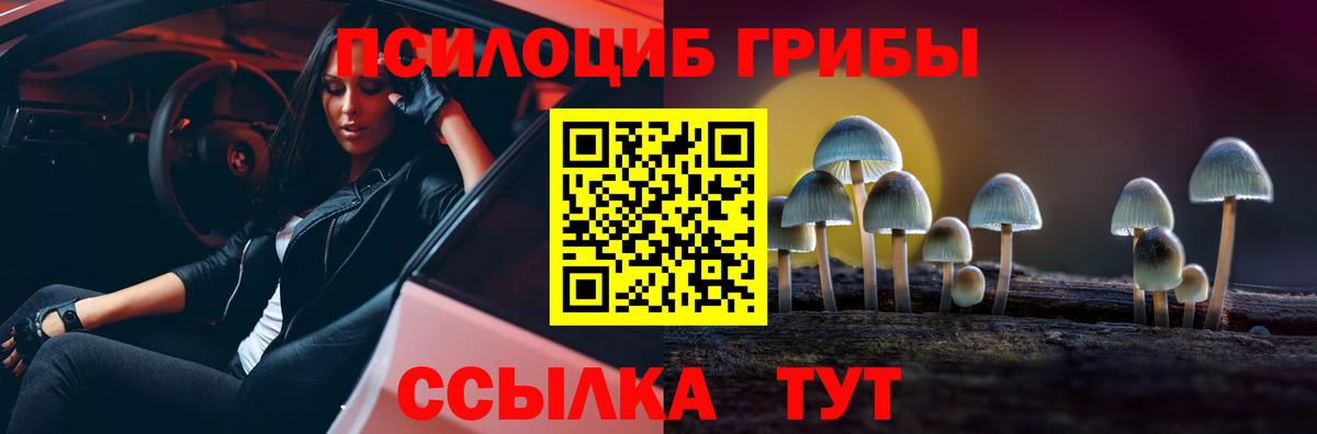 Волгоград  Псилоцибиновые грибы MAGIC MUSHROOMS  хочу наркоту  Вход с VPN 